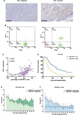 Restored CD8+PD-1+ T Cells Facilitate the Response to Anti-PD-1 for Patients With Pancreatic Ductal Adenocarcinoma